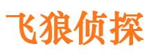 尼木市调查公司